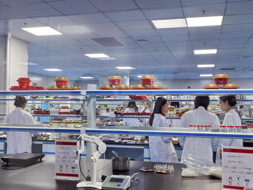 匠心铸就品质,科技引领未来 走进燕之屋,见证中国品牌力量