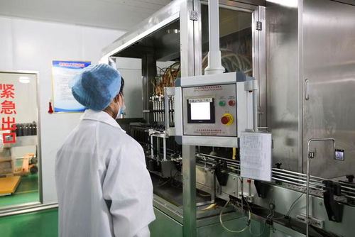 菏泽鄄城 以质为擎 铸就 好品山东 新标杆